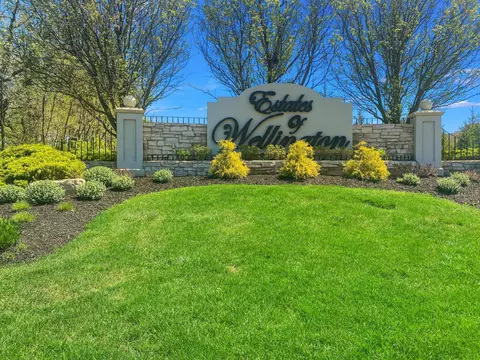 10162 W Wellington Ct, Dyer, IN 46311 photo 1