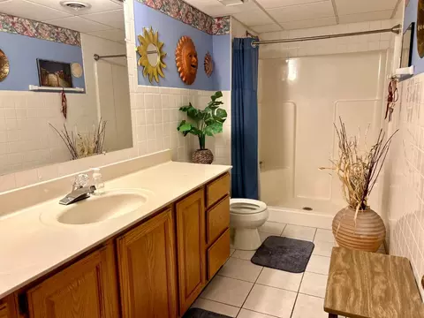 1541 E Valley Pl, Dyer, IN 46311 photo 20