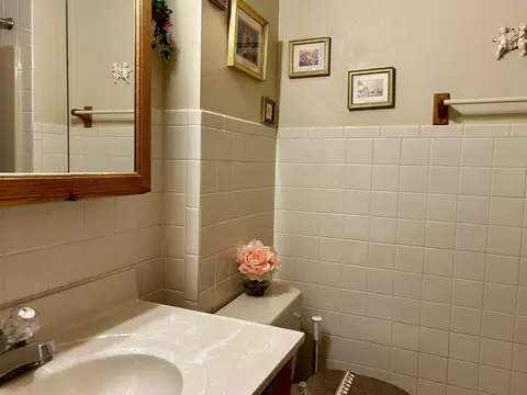 1541 E Valley Pl, Dyer, IN 46311 photo 12