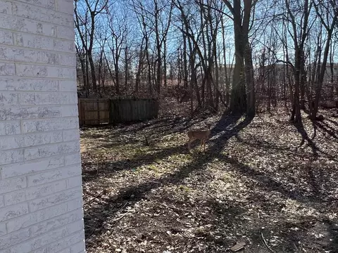 9309 Juniper Ave, Gary, IN 46403 photo 7