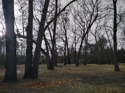 11872 N 470, De Motte, IN 46310 photo 17