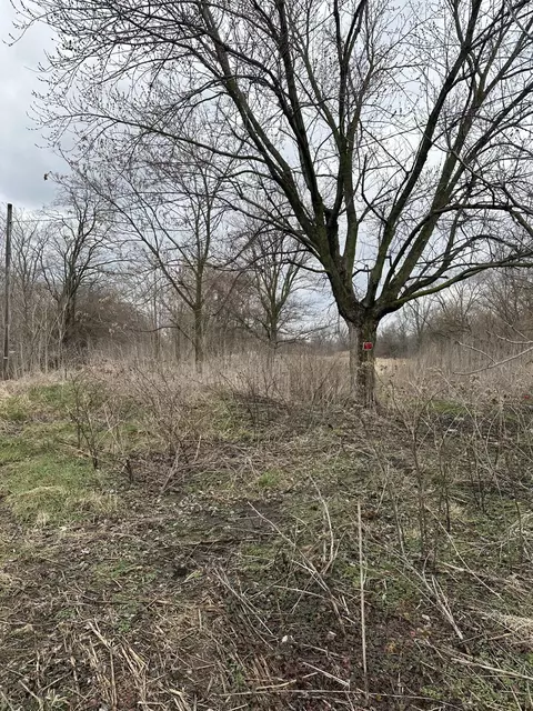 4296 Calhoun St, Gary, IN 46408 photo 2