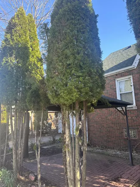 4403 Torrence Ave, Hammond, IN 46327 photo 29