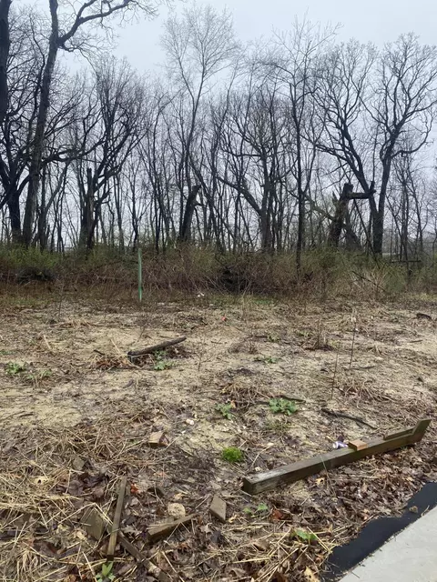 9555 112th Pl, Cedar Lake, IN 46303 photo 3