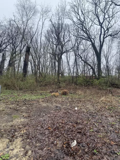 9550 112th Pl, Cedar Lake, IN 46303 photo 3