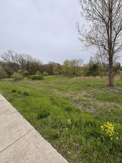 4529 Rutledge St, Gary, IN 46408 photo 3
