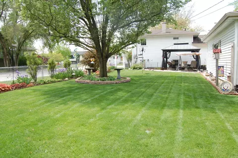 815 Oday Dr, Griffith, IN 46319 photo 3