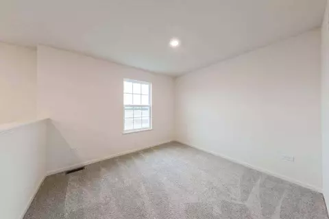 11113 Alabama Pl, Crown Point, IN 46307 photo 15