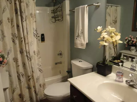 Bath - 1225 Thistle Dr, Griffith, IN 46319 photo 3 of 5