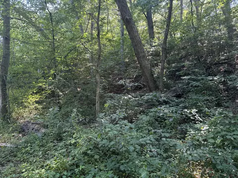 14 Charing, Beverly Shores, IN 46360