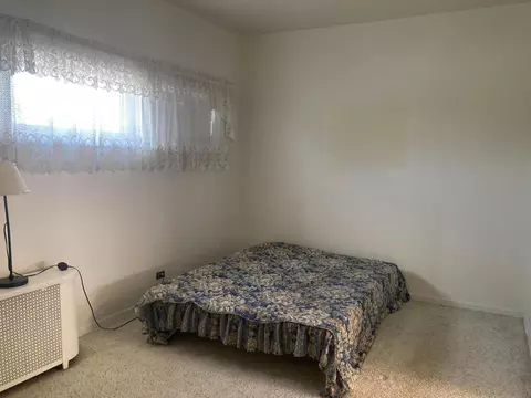 1005 119th St, Whiting, IN 46394 photo 15