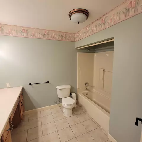 Bath - 684 E Burrell Dr, Crown Point, IN 46307 photo 3 of 4