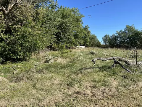 15049 Parrish Ave, Cedar Lake, IN 46303 photo 36