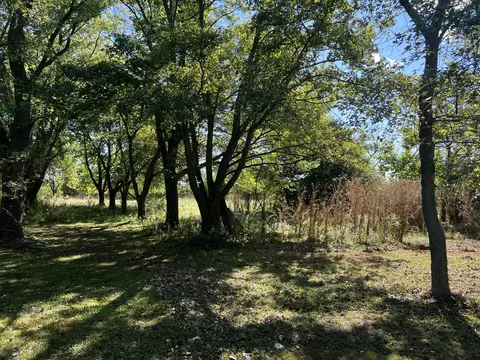 15049 Parrish Ave, Cedar Lake, IN 46303 photo 30