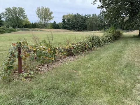 10751 N 500, De Motte, IN 46310 photo 29