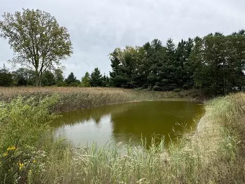 10751 N 500, De Motte, IN 46310 photo 35
