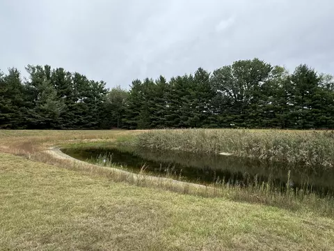 10751 N 500, De Motte, IN 46310 photo 34