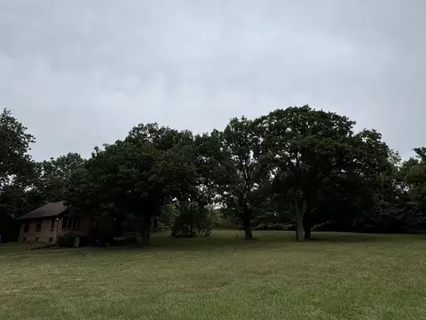 10751 N 500, De Motte, IN 46310 photo 8