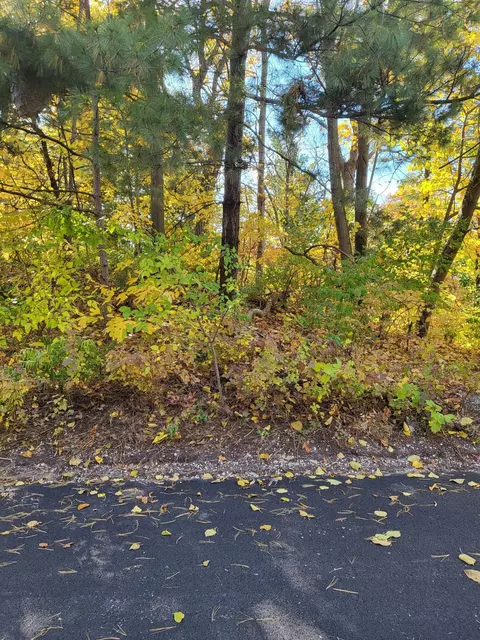 0 Chestnut Ct, Ogden Dunes, IN 46368