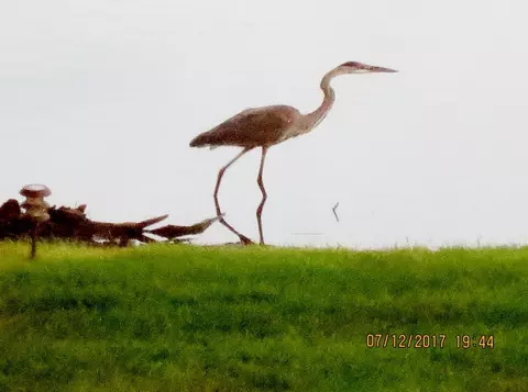 0 W Division Rd, Hebron, IN 46341 photo 10