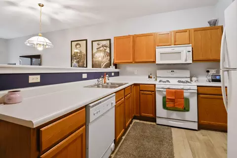 1736 Springtime Ct, Dyer, IN 46311 photo 8