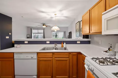 1736 Springtime Ct, Dyer, IN 46311 photo 9