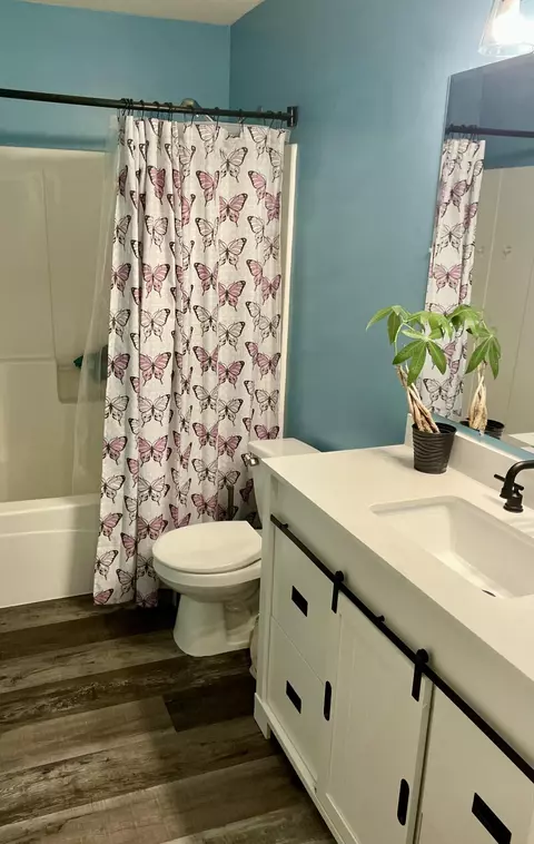 Bath - 1839 Beech Ct, Crown Point, IN 46307 photo 2 of 3