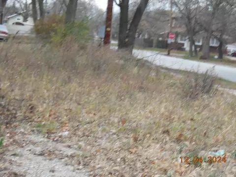 802 Pierce St, Gary, IN 46402 photo 2