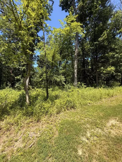 4020 166th Ln, Lowell, IN 46356 photo 5