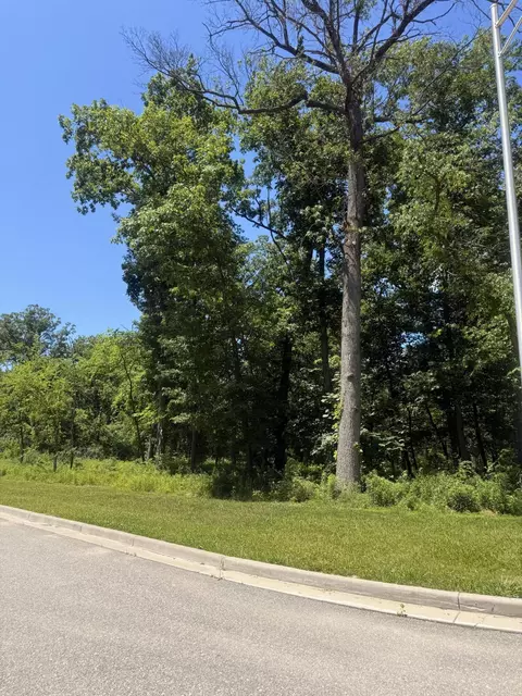 4020 166th Ln, Lowell, IN 46356 photo 2