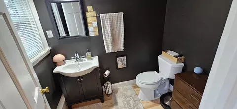 Bath - 8511 Oak Ave, Gary, IN 46403 photo 2 of 27