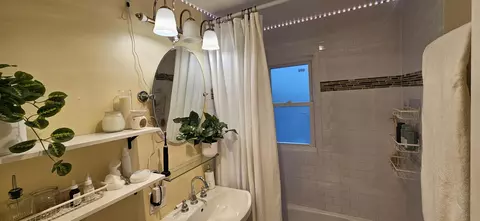 Bath - 8511 Oak Ave, Gary, IN 46403 photo 6 of 27