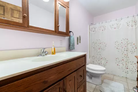 Bath - 336 Juniper St, De Motte, IN 46310 photo 3 of 3