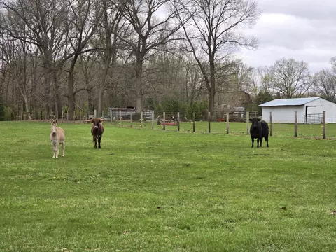 Other - 1327 E 1275, Wheatfield, IN 46392 photo 7 of 7