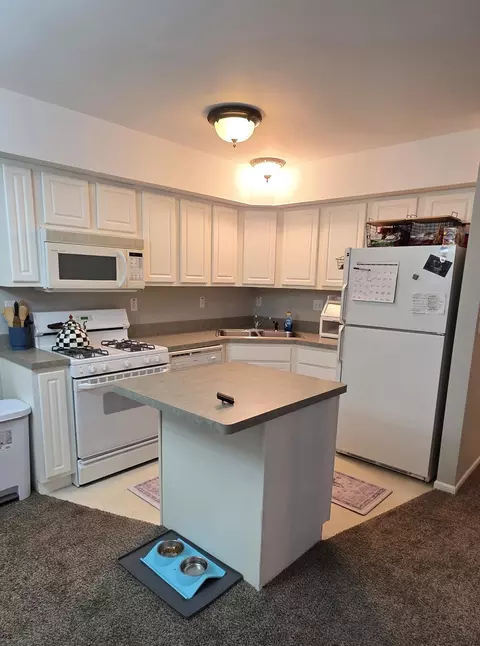 Kitchen - 120 Pine Dr #D, Porter, IN 46304 photo 1 of 1