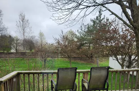10028 Redbud Rd, Munster, IN 46321 photo 19