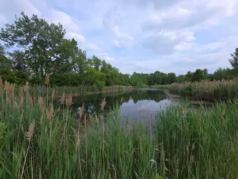 11856 W Snyder Rd, Westville, IN 46391
