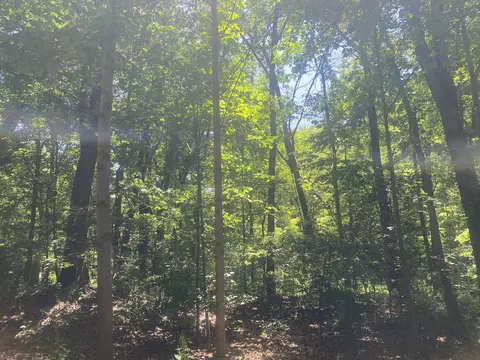 lot S 41-44 Campbell, La Porte, IN 46350