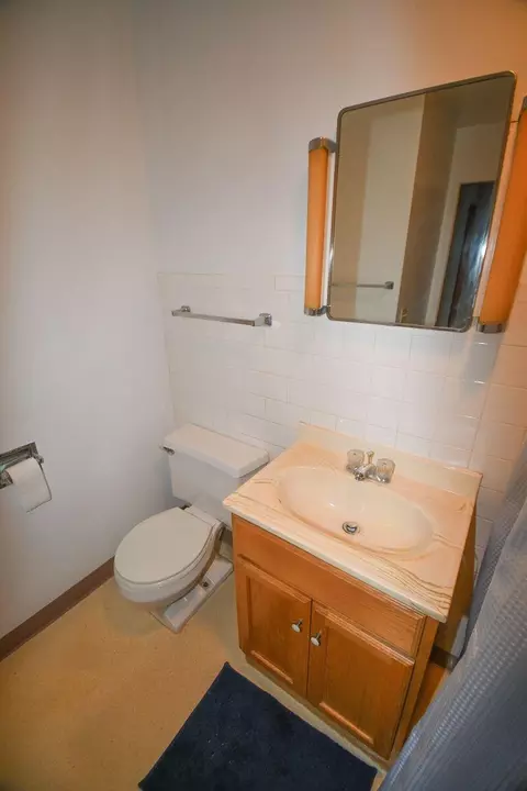 Bath - 367 Commanche Dr, Lowell, IN 46356 photo 3 of 4