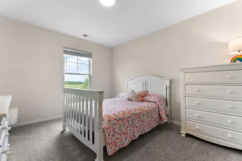 11181 Song St, Dyer, IN 46311 photo 29