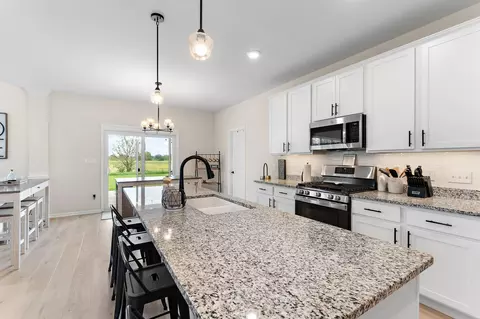 11181 Song St, Dyer, IN 46311 photo 13