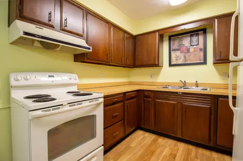 Kitchen - 1640 Camellia Dr #A1, Munster, IN 46321 photo 1 of 6