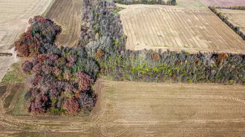 0 W State Rd 10, Wheatfield, IN 46392 photo 5