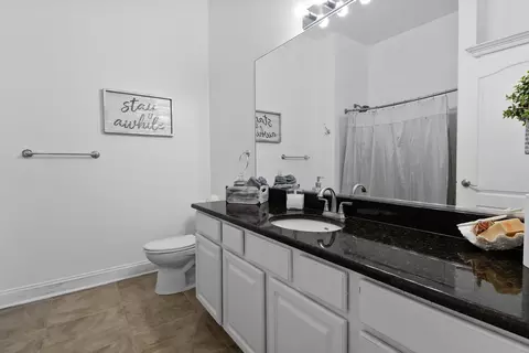 Bath - 13304 E Lakeshore Dr #202, Cedar Lake, IN 46303 photo 1 of 3