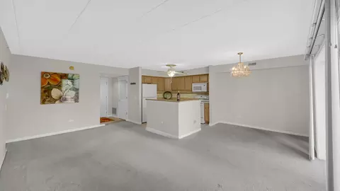 408 Swan Dr #2D, Dyer, IN 46311 photo 4
