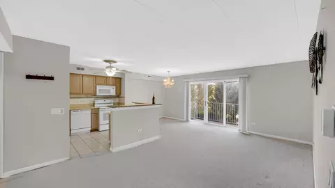 408 Swan Dr #2D, Dyer, IN 46311 photo 3