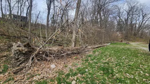 7302 Morse Ln, Cedar Lake, IN 46303 photo 6