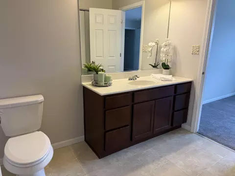 Bath - 970 E 114th Pl, Crown Point, IN 46307 photo 3 of 3