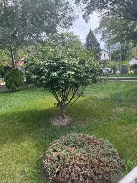 759 Grant St, Gary, IN 46404 photo 15