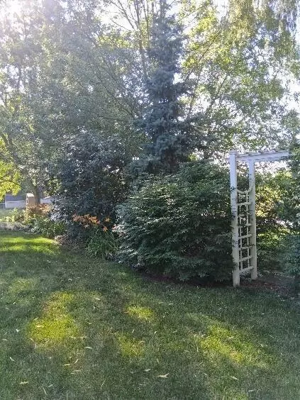 245 Mary St, Dyer, IN 46311 photo 37